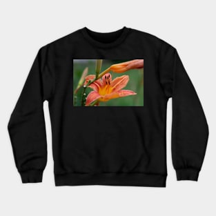 Flowers and blossoms in the garden Crewneck Sweatshirt